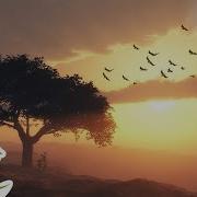 Guitar Romantic Music