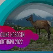 14 Октября 2022 Года