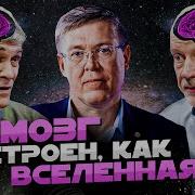Мозг