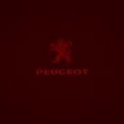 I Accidentally Peugeot