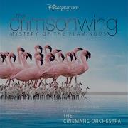 The Cinematic Orchestra The London Metropolitan Orchestra Opening Titles
