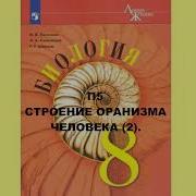 Биология Песочник Восьмой Класс Второй Параграф Слушать