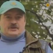 Главная Дорога Дтп