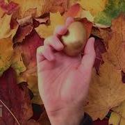 Autumn Leaves Are Falling Down Fall Instrumental Song Preschool Songs