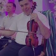Онаси Хаёт Биродарлар