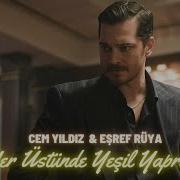 Yer Üstünde Yeşil Yaprak