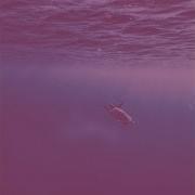 Where Is My Mind Slowed Reverb Piano Version