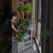Withered Flowers Blooming