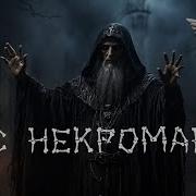 Лес Некроманта