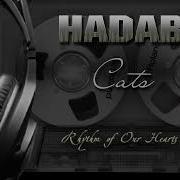 Hadab Cats Rhythm Of Our Hearts