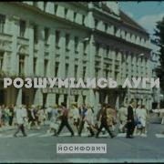 Юрій Йосифович Розшумілись Луги