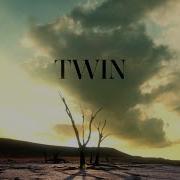 Ann Marie Twin