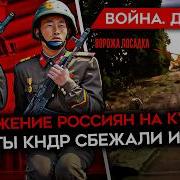 Война День 966