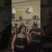 Рафоати Чамшед