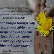 Хандак Газоти 3