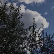 Минус Песни Белая Черемуха Пышно Расцвелана Краю Села