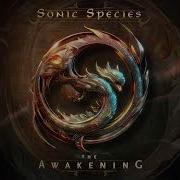 The Way Sonic Species