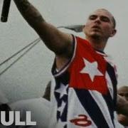 Culo Pitbull