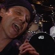 Scorpions No Pain No Gain