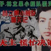 林立果小舰队覆灭记20
