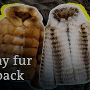 Fur Coat