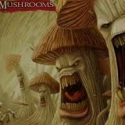 Infected Mushroom Full Album