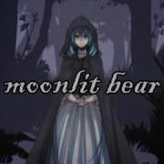 Moonlit Bear Mothy
