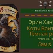 Коты Воители Восход Солнца 21