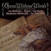 Habanera Instrumental