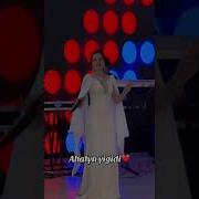 Gyzylgul Babayewa Ahalyn Yigidi