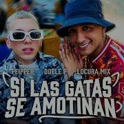 Si Las Gatas Se Amotinan