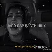 Туи Ишки Ман
