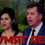 Шумят Леса Песня