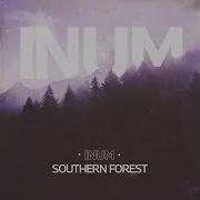 Inum Southern Forest