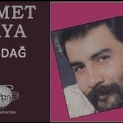 Ahmet Kaya Seldağ