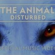 Disturbed The Animal Official Music Video