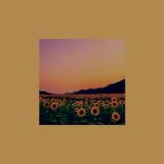 Rex Orange County Sunflower Slowed