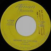 Group Solo Beware Of The Dog