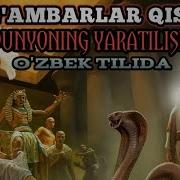 Payg Ambarlar Hayot