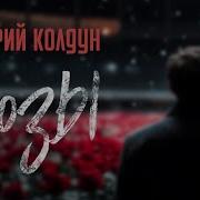 Дмитрий Колдун Розы