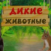 Дикие Животные