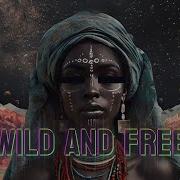 Dj R Flame Wild And Free Afro House