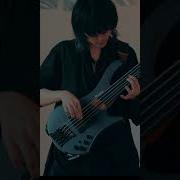 Freatless Bass New