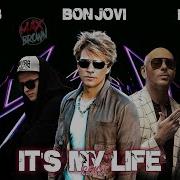 Bon Jovi It S My Life Remix