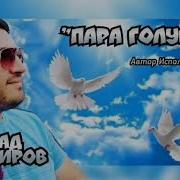 Влад Порфиров Пара Голубей Влад Порфиров