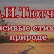 Стихотворения О Природе