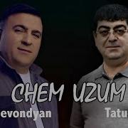 Tatul Avoyan Spitakci Hovo Chem Uzum Chem Uzum