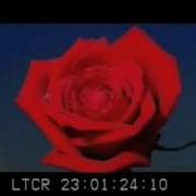 Lana Del Rey Carmen
