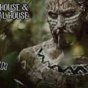 Tech House Tribal House Mix May 2020