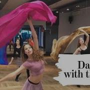 Belly Dance Veil